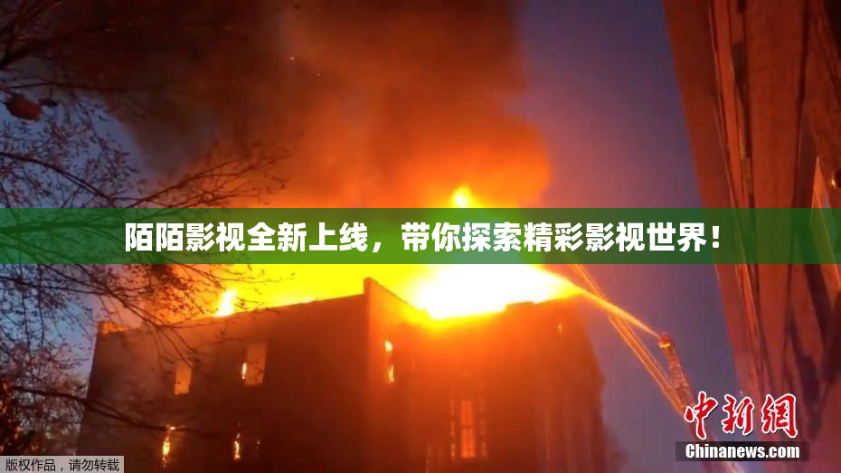 陌陌影视全新上线，带你探索精彩影视世界！