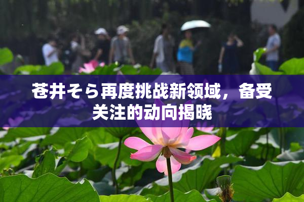 苍井そら再度挑战新领域，备受关注的动向揭晓