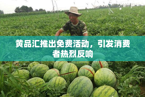 黄品汇推出免费活动，引发消费者热烈反响