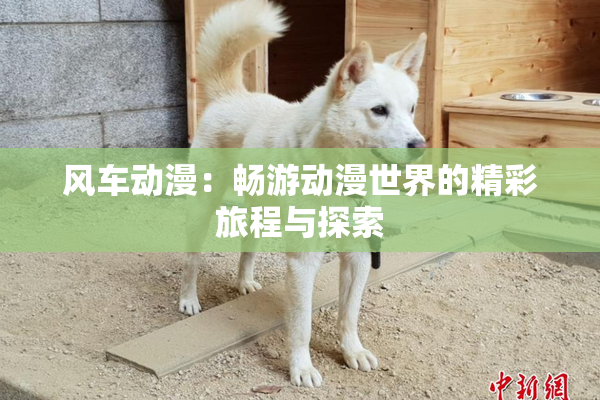 风车动漫：畅游动漫世界的精彩旅程与探索