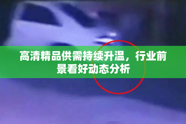 高清精品供需持续升温，行业前景看好动态分析