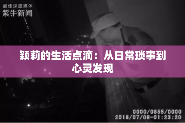 颖莉的生活点滴：从日常琐事到心灵发现