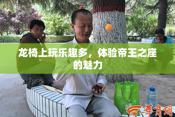 龙椅上玩乐趣多，体验帝王之座的魅力