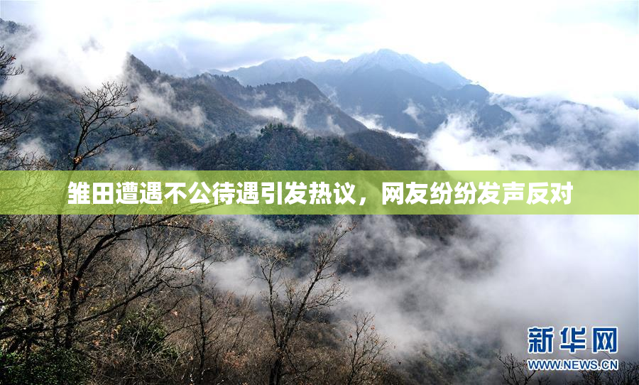 雏田遭遇不公待遇引发热议，网友纷纷发声反对
