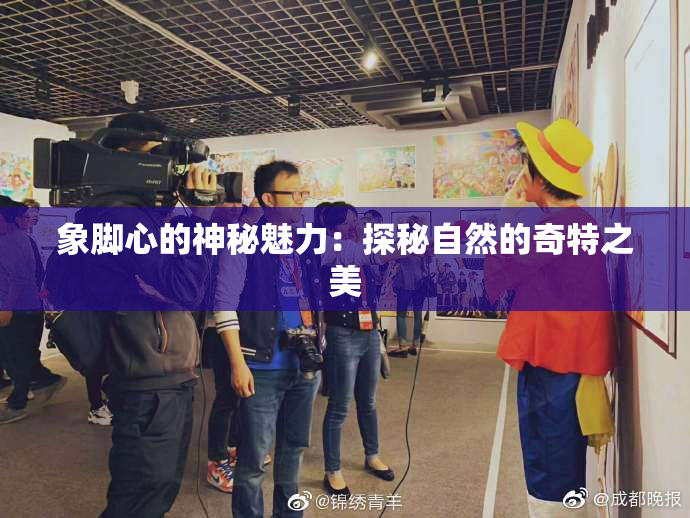 象脚心的神秘魅力：探秘自然的奇特之美