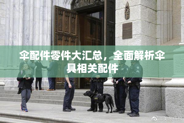 伞配件零件大汇总，全面解析伞具相关配件