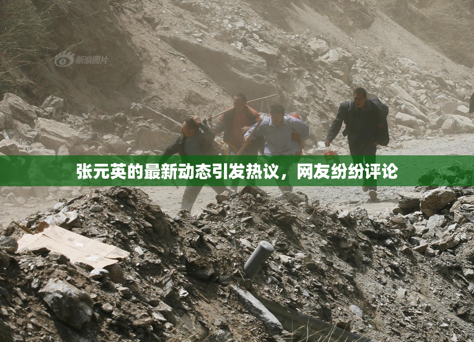 张元英的最新动态引发热议，网友纷纷评论
