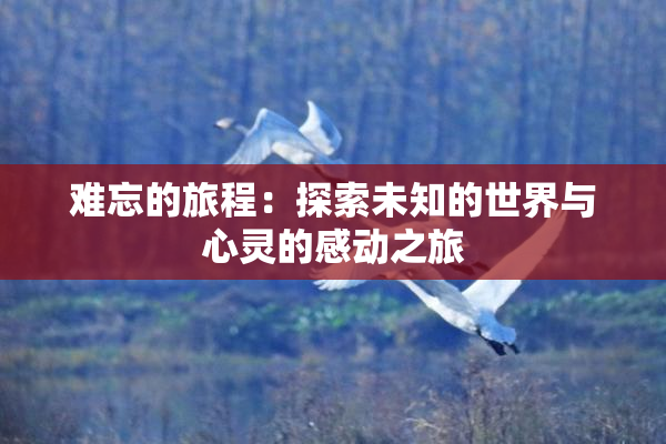 难忘的旅程：探索未知的世界与心灵的感动之旅