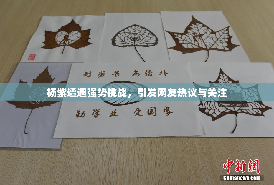 杨紫遭遇强势挑战，引发网友热议与关注