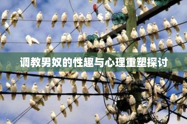 调教男奴的性趣与心理重塑探讨