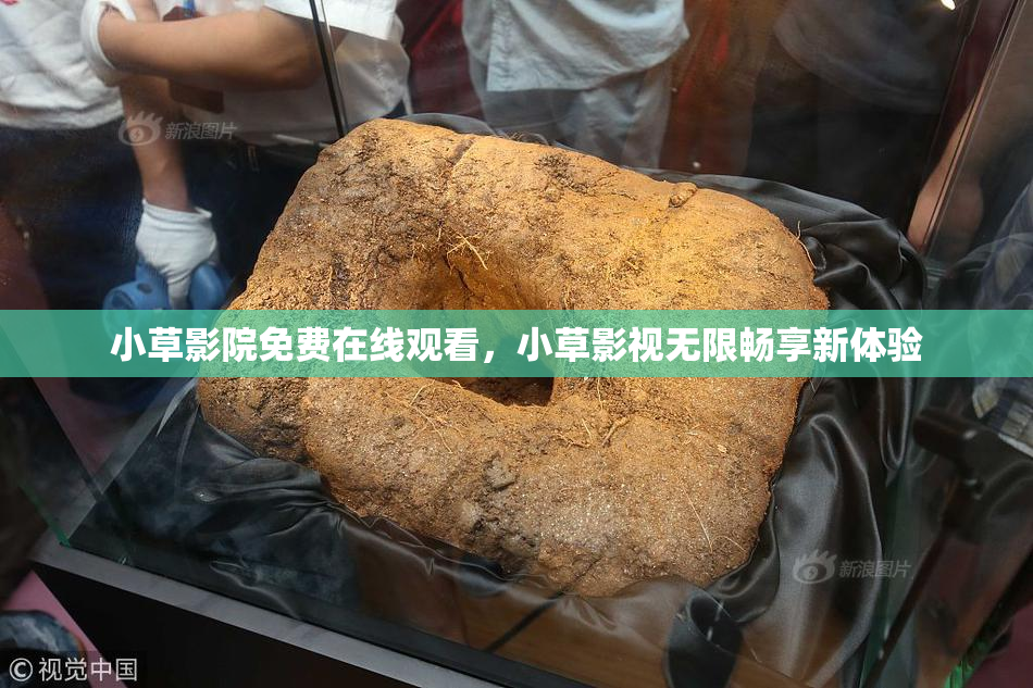 小草影院免费在线观看，小草影视无限畅享新体验