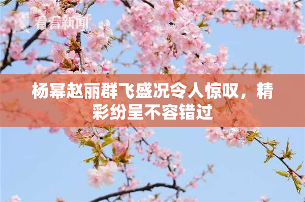 杨幂赵丽群飞盛况令人惊叹，精彩纷呈不容错过