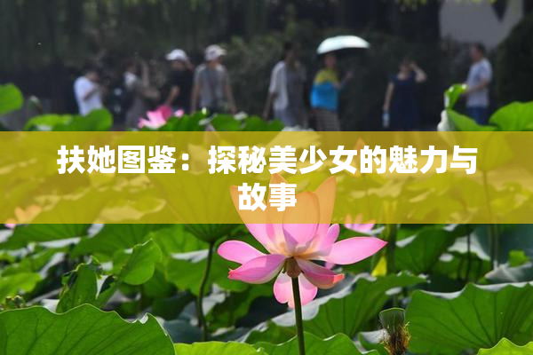 扶她图鉴：探秘美少女的魅力与故事