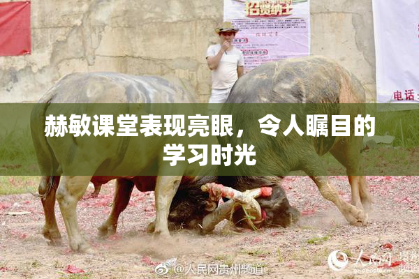 赫敏课堂表现亮眼，令人瞩目的学习时光