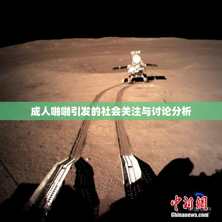 成人啪啪引发的社会关注与讨论分析
