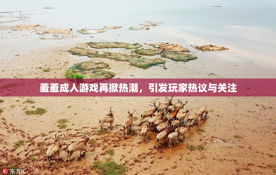 羞羞成人游戏再掀热潮，引发玩家热议与关注