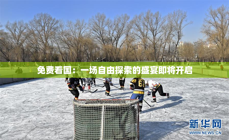 免费看国：一场自由探索的盛宴即将开启