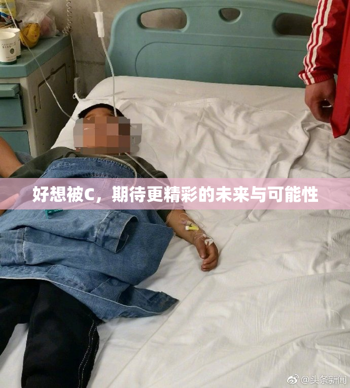 好想被C，期待更精彩的未来与可能性