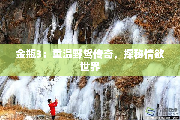 金瓶3：重温野鸳传奇，探秘情欲世界