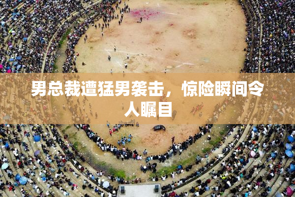 男总裁遭猛男袭击，惊险瞬间令人瞩目