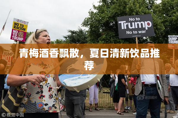 青梅酒香飘散，夏日清新饮品推荐