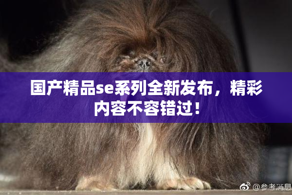 国产精品se系列全新发布，精彩内容不容错过！