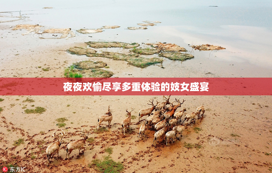 夜夜欢愉尽享多重体验的妓女盛宴