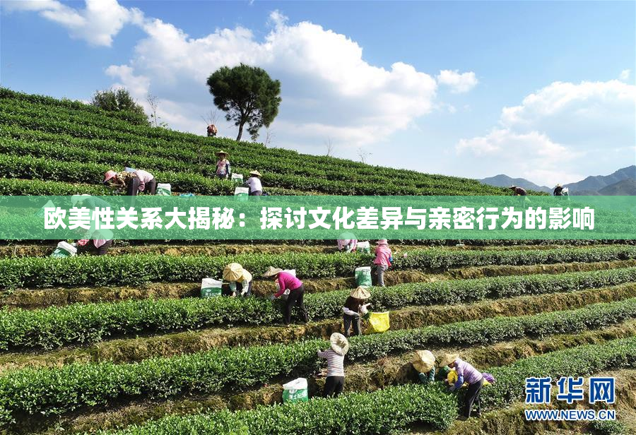欧美性关系大揭秘：探讨文化差异与亲密行为的影响