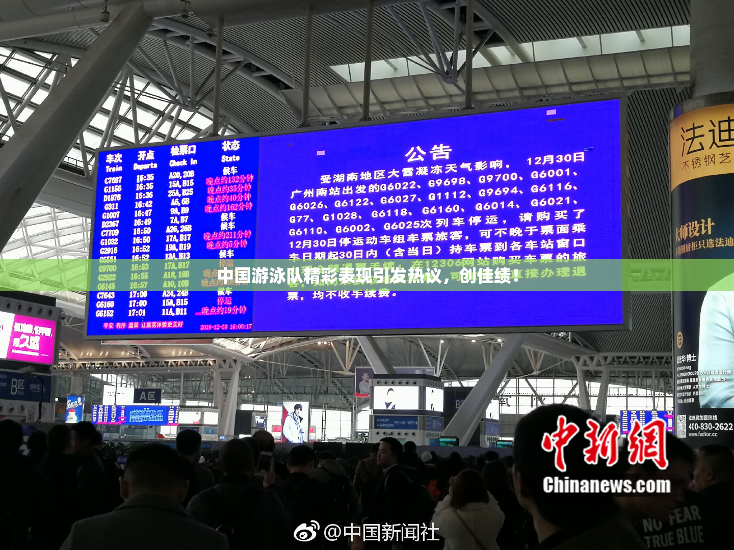 中国游泳队精彩表现引发热议，创佳绩！