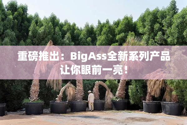 重磅推出：BigAss全新系列产品让你眼前一亮！