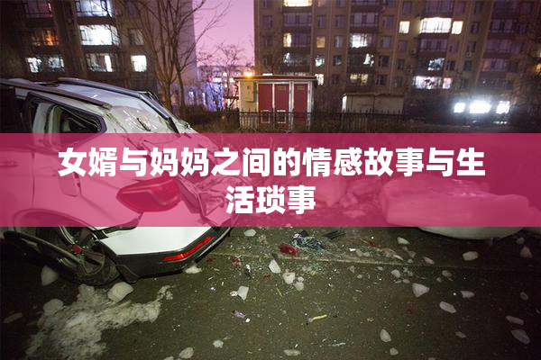 女婿与妈妈之间的情感故事与生活琐事