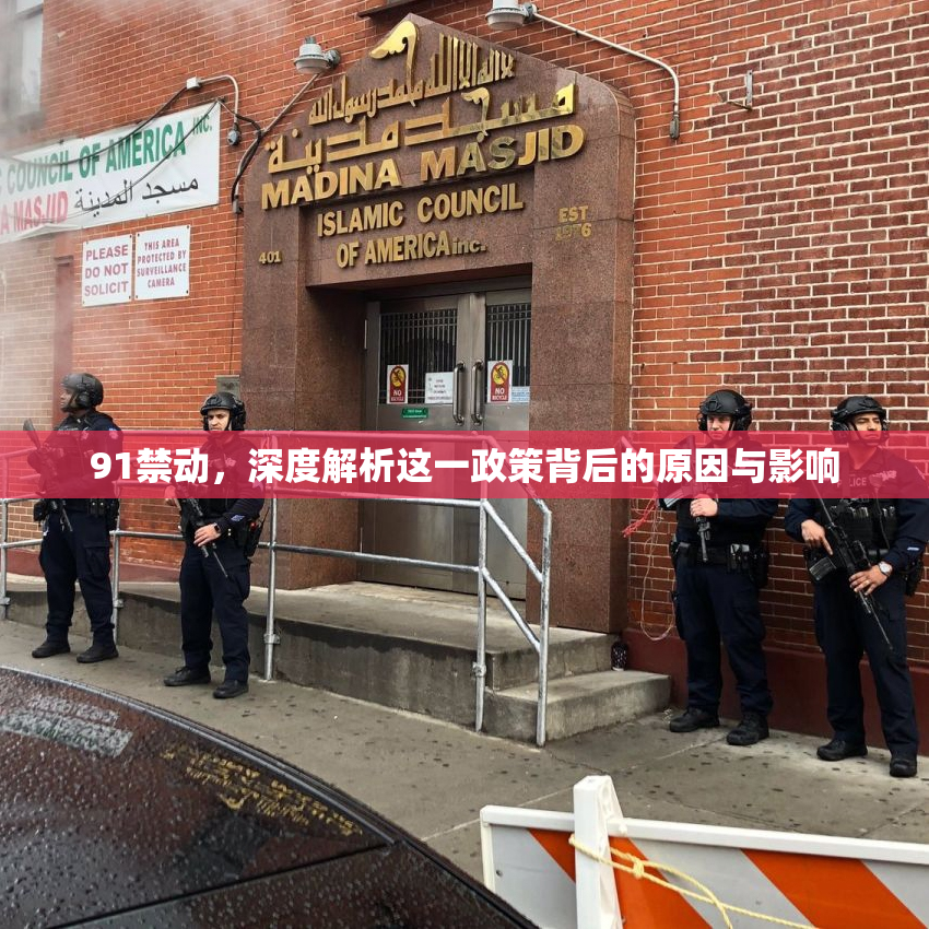 91禁动，深度解析这一政策背后的原因与影响