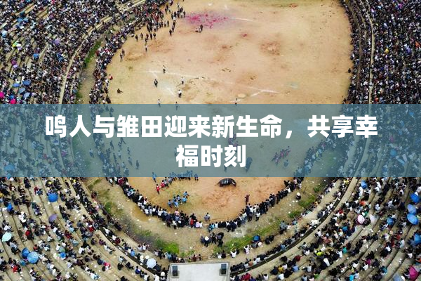 鸣人与雏田迎来新生命，共享幸福时刻
