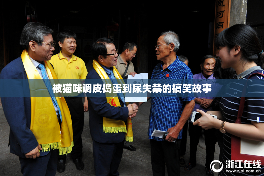 被猫咪调皮捣蛋到尿失禁的搞笑故事