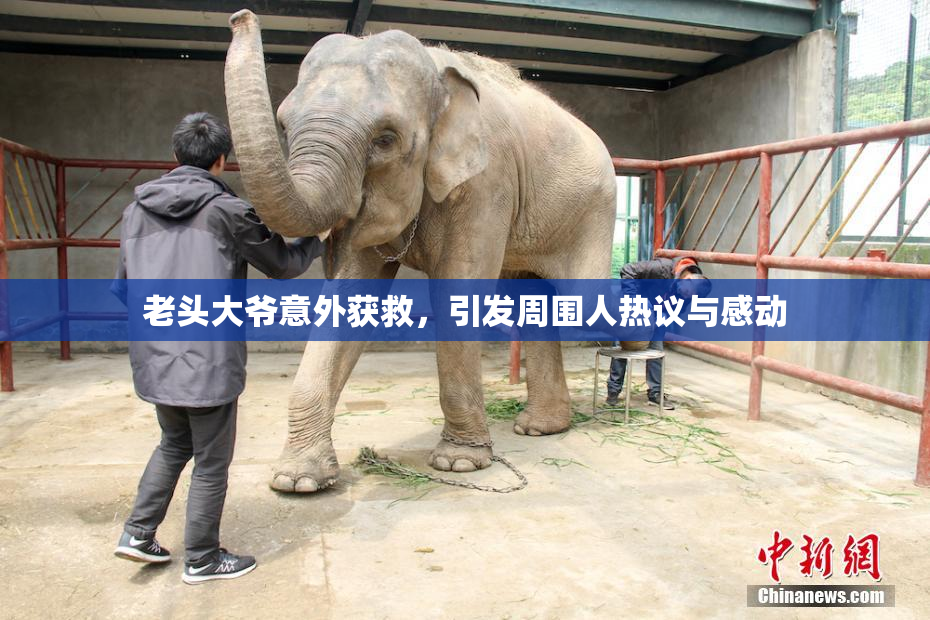 老头大爷意外获救，引发周围人热议与感动