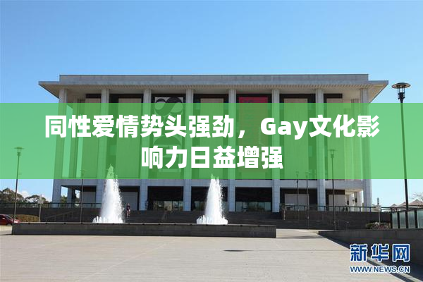 同性爱情势头强劲，Gay文化影响力日益增强