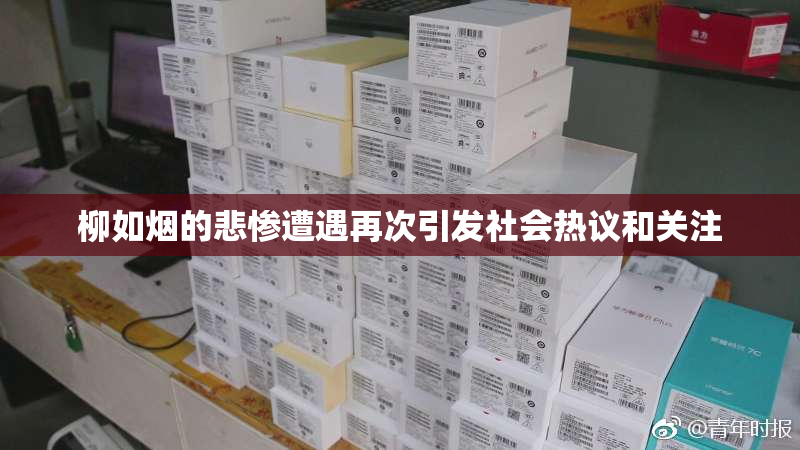 柳如烟的悲惨遭遇再次引发社会热议和关注