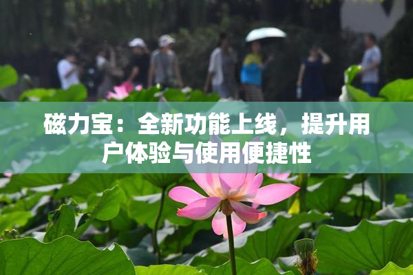 磁力宝：全新功能上线，提升用户体验与使用便捷性