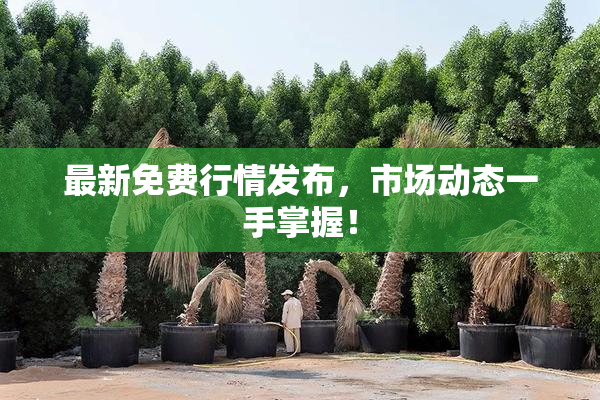最新免费行情发布，市场动态一手掌握！