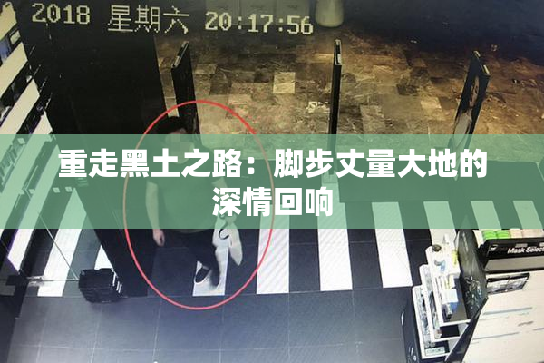 重走黑土之路：脚步丈量大地的深情回响