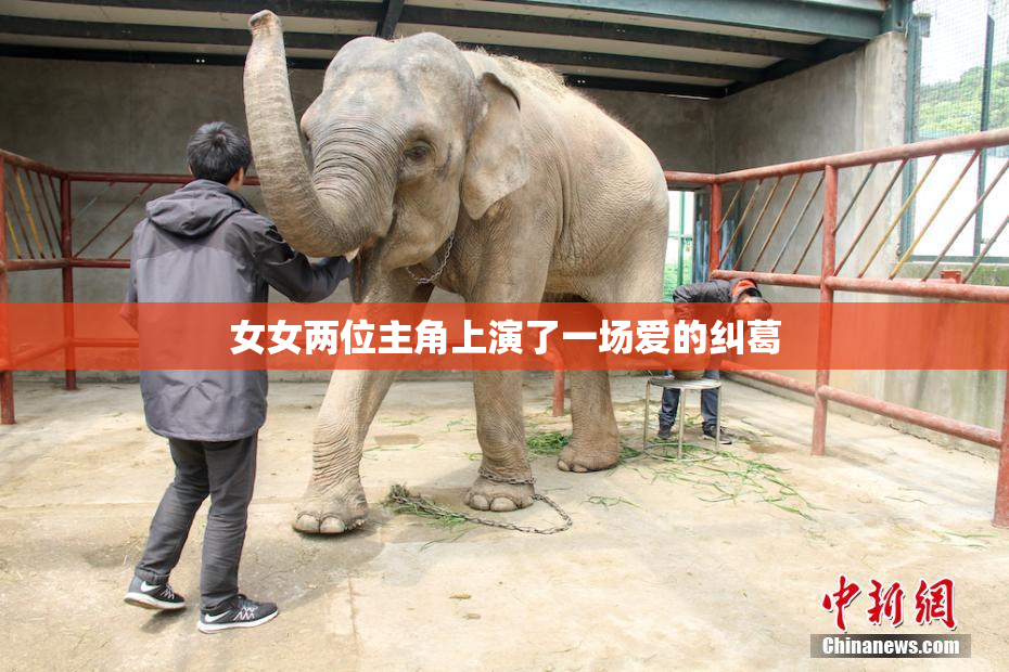 女女两位主角上演了一场爱的纠葛