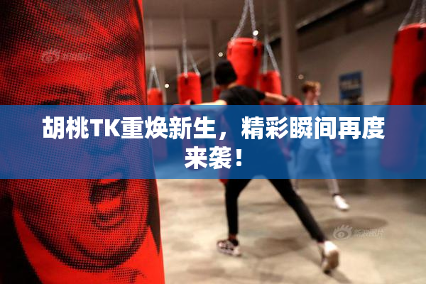 胡桃TK重焕新生，精彩瞬间再度来袭！