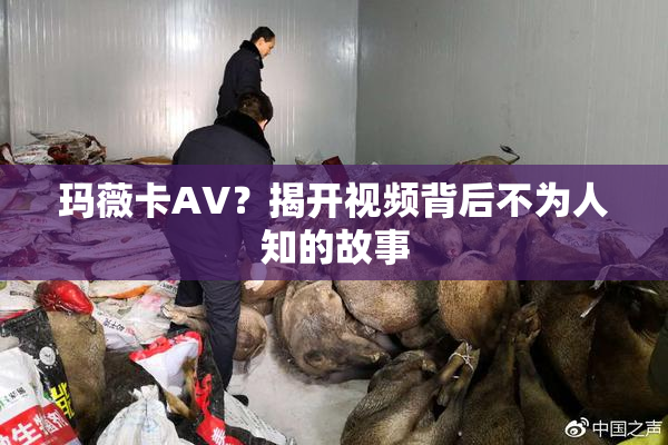 玛薇卡AV？揭开视频背后不为人知的故事