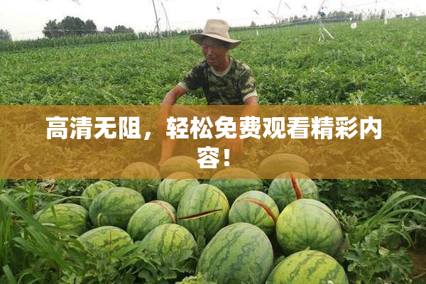 高清无阻，轻松免费观看精彩内容！