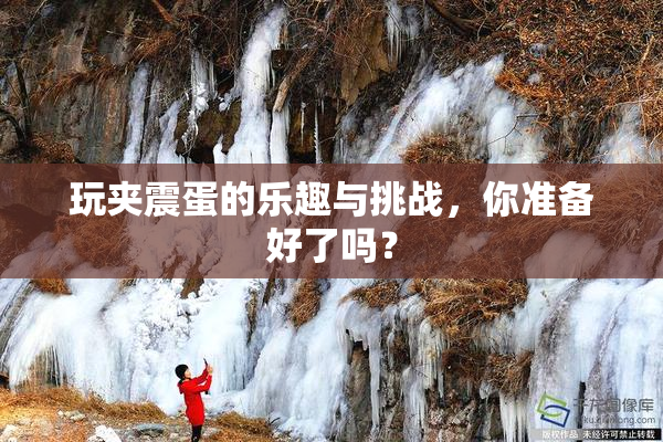 玩夹震蛋的乐趣与挑战，你准备好了吗？