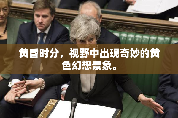 黄昏时分，视野中出现奇妙的黄色幻想景象。