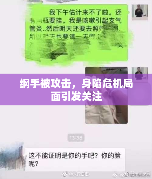 纲手被攻击，身陷危机局面引发关注