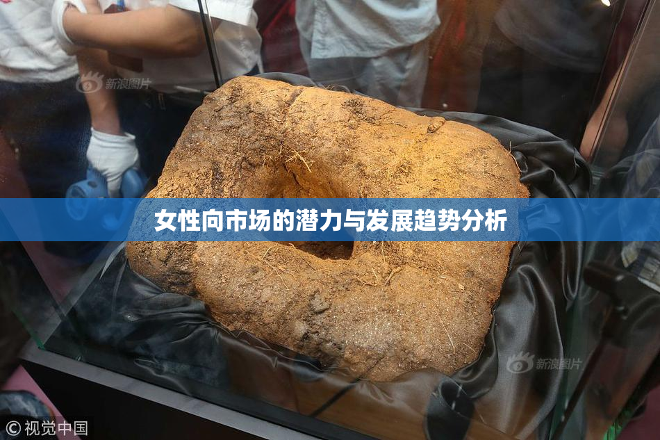 女性向市场的潜力与发展趋势分析
