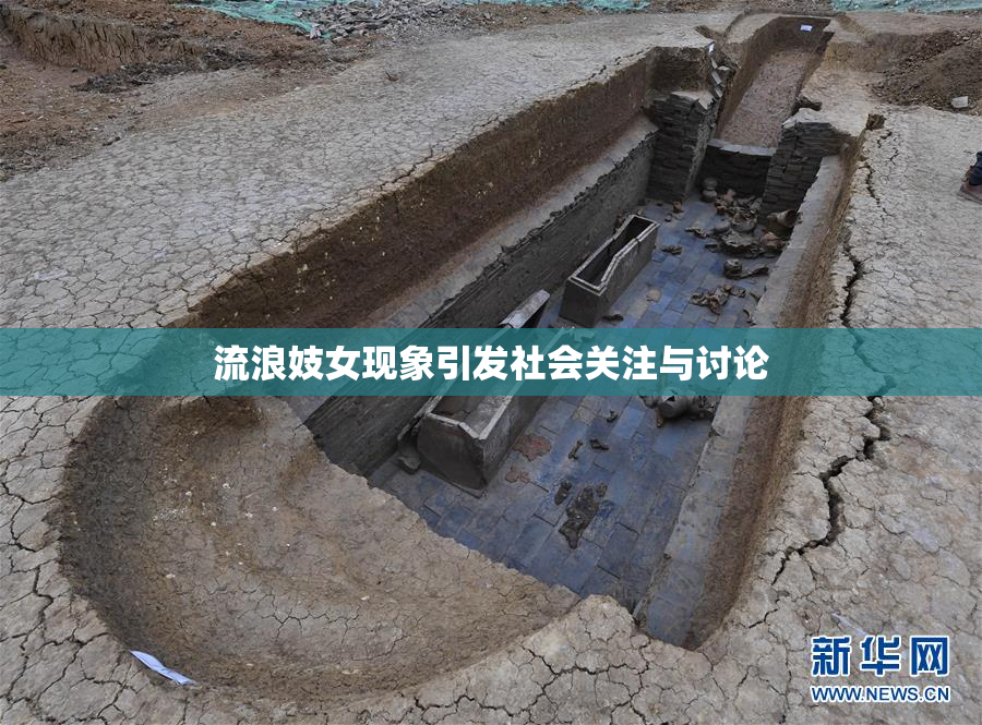 流浪妓女现象引发社会关注与讨论