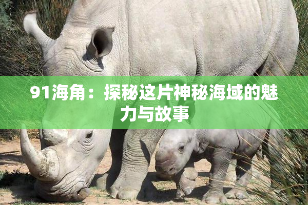 91海角：探秘这片神秘海域的魅力与故事
